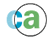 logo Computer Associates