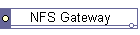 NFS Gateway