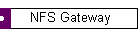 NFS Gateway